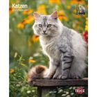 Kalender Katten 2025