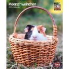 Kalender Cavia's 2025