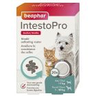 Beaphar InestoPro Hond/Kat 