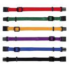 Trixie Puppy Halsband Set Rood / Groen / Geel / Paars / Blauw / Zwart -17-25 cm -6 st