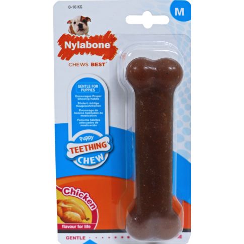 Nylabone puppy store chew