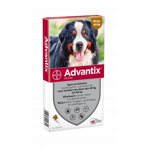ik lees een boek Ga trouwen Bestrating Advantix Hond 600 XXL (tussen 40-60 kg ) -6 pipet | Gropet.com