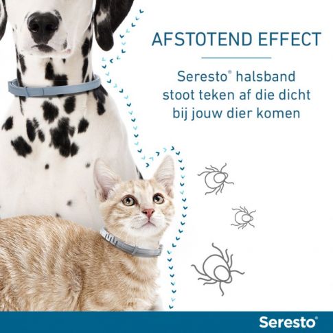 muis of rat draagbaar Skim Seresto voor Kleine Honden tot 8 kg Vlooien Tekenband | Gropet.com