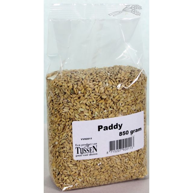 Paddy - 850 gr