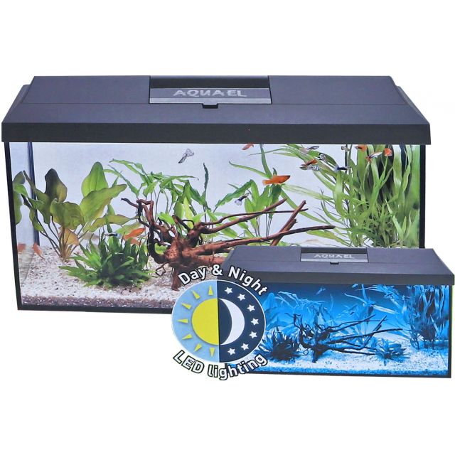 Aquael Aquarium Leddy 60 Day & Night  Zwart -60x30x30 cm