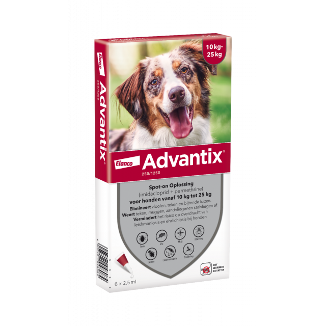 Advantix Hond 250 (hond tussen 10 en 25 kg) 6 Pipetten