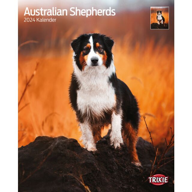 Kalender Australian Shephards 2023