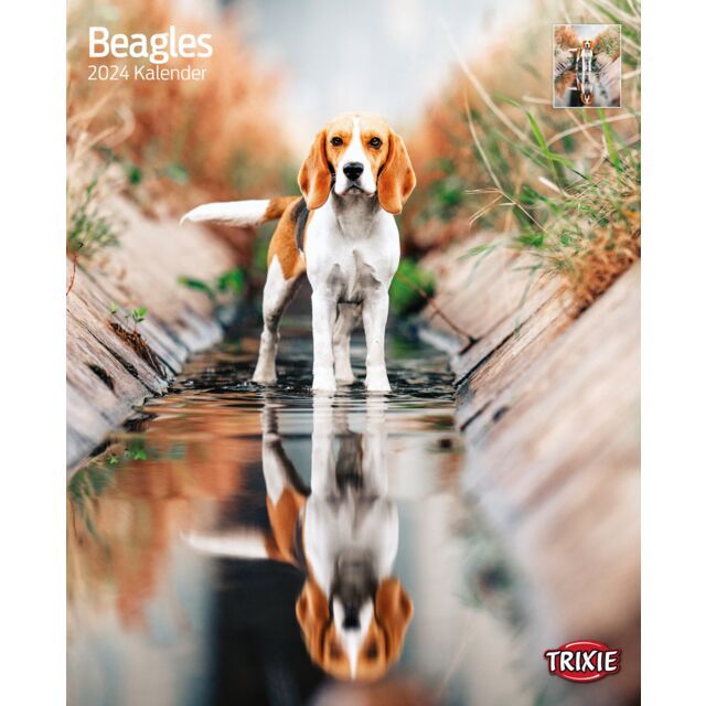 Kalender Beagles 2024  OP=OP