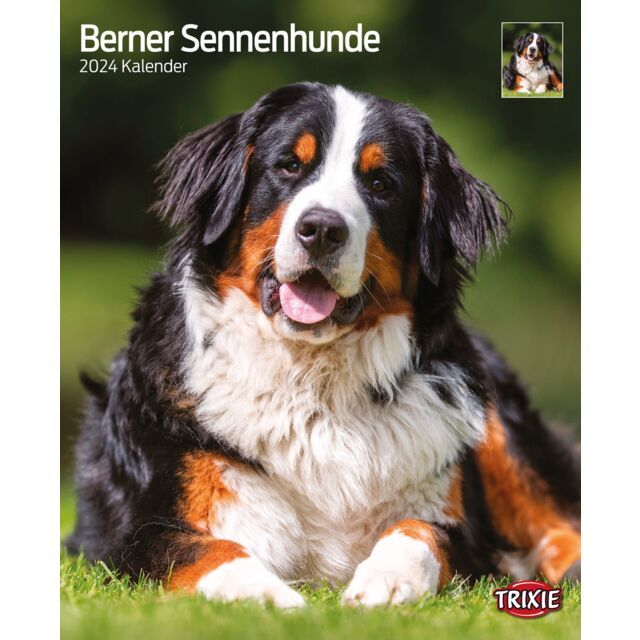Kalender Berner Sennenhonden 2024  OP=OP
