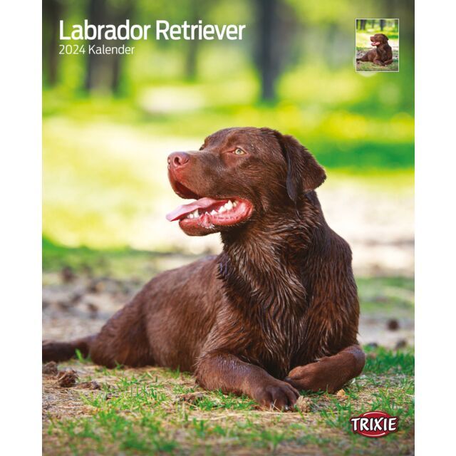 Kalender Labrador Retrievers 2025