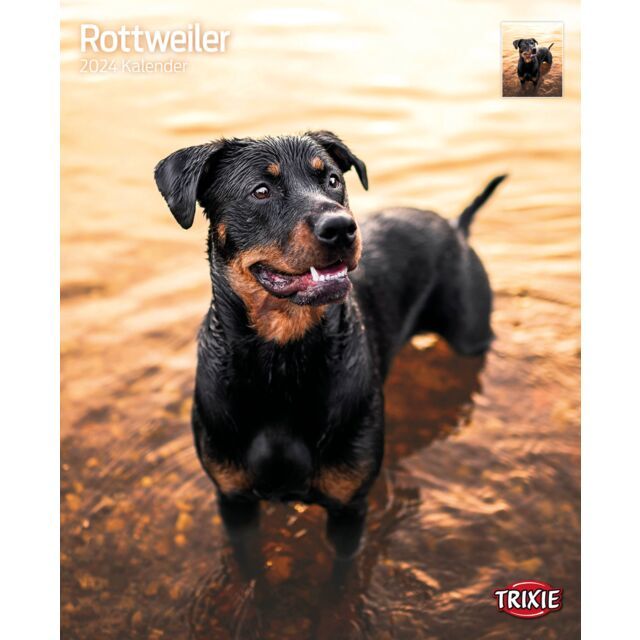 Kalender Rottweilers 2025