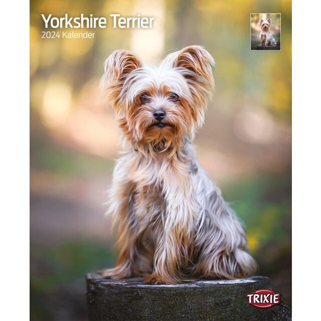 Kalender Yorkshire Terriërs 2025