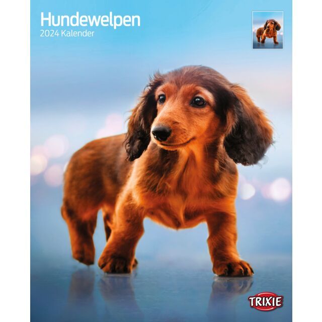 Kalender Puppy's 2025