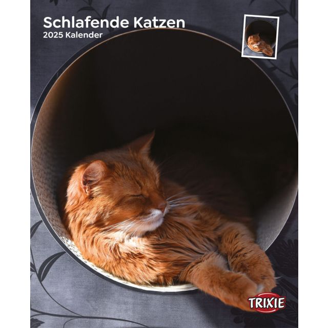  Kalender Slapende katten 2025