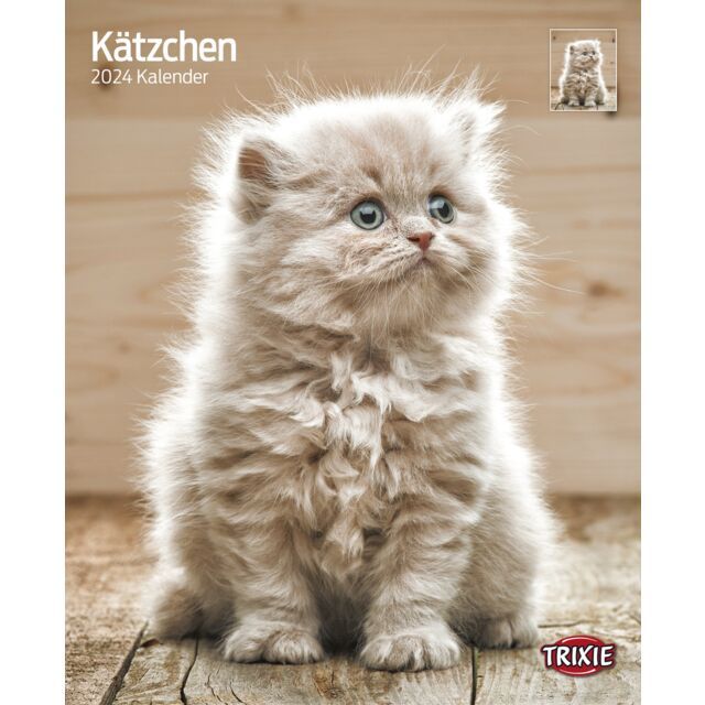 Kalender Kittens 2025