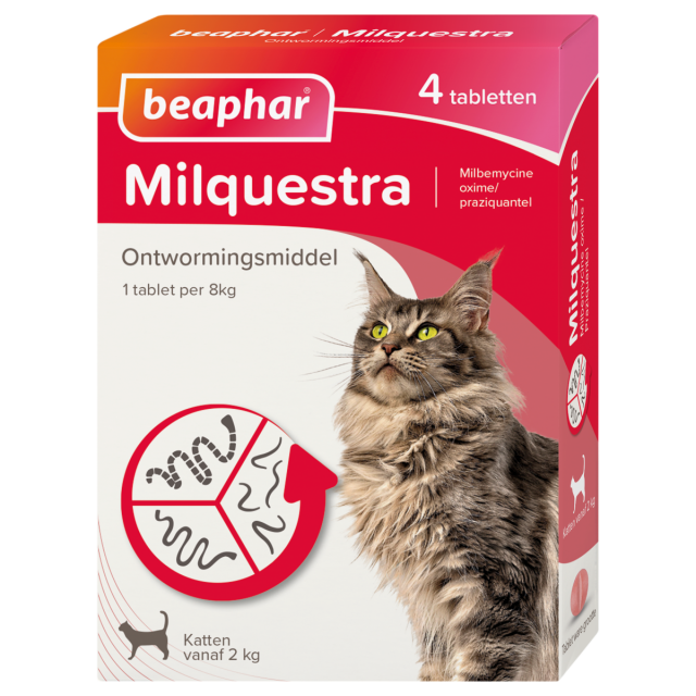 Beaphar Milquestra Kat 2-12 kg - 4 Stuks   