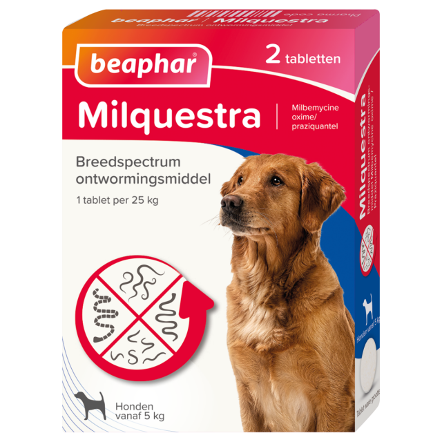 Beaphar Milquestra Hond 5-50 kg – 2 Stuks   