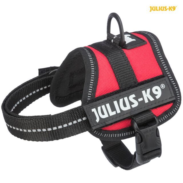 Julius K9 Powertuig 2XS/Baby 2 -33-45 cm /18 mm  Rood