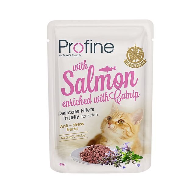 Profine Kitten Pouch Fillets in Jelly Salmon  -85 gram