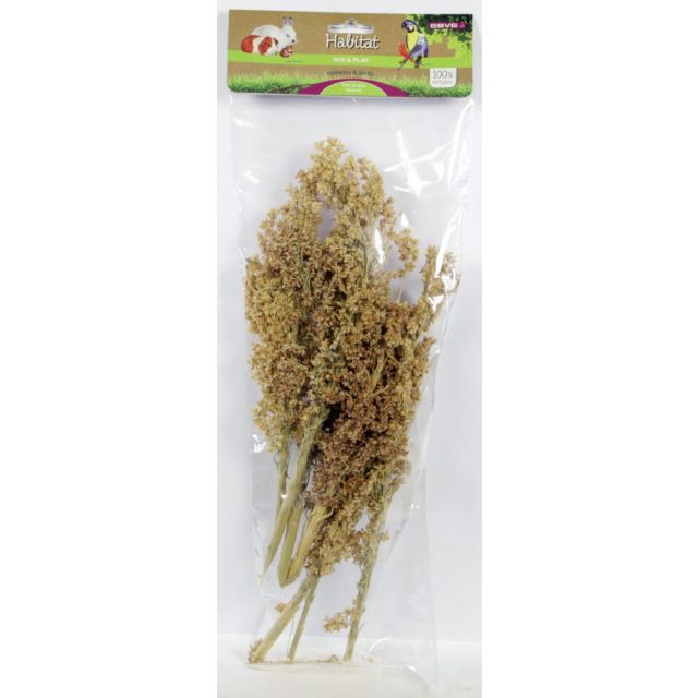 Esve Mix & Play Corn Grass 1 st.
