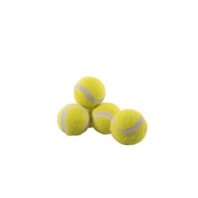 rosewood jolly doggy tennisbal mini 5 ST