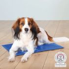 Trixie Koelmat  Blauw XL- XXL - 100x60 cm 