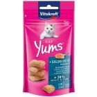 Vitakraft Cat Yums Met Zalm -40 gram