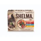 Shelma Pouch Fillets Fish Selection -12x85 gram