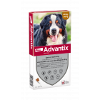 Advantix Hond 600 XXL (tussen 40-60 kg) -4 pipet