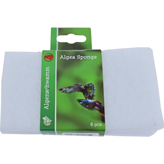 Boon Algenspons Wit -15x8 cm -6-pack
