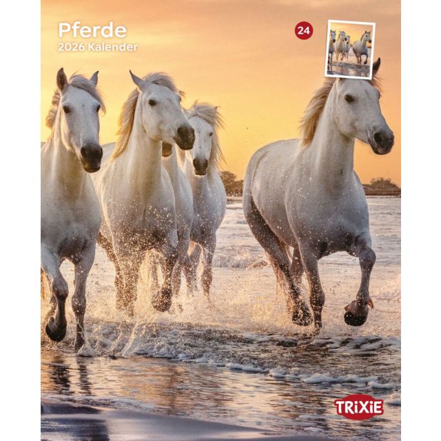 Kalender Paarden 2026