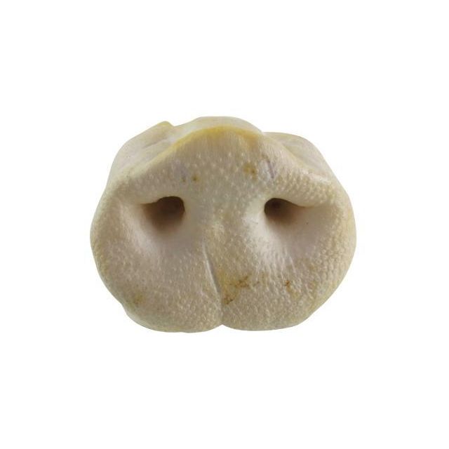 Petsnack Varkensneuzen - 25 stuks