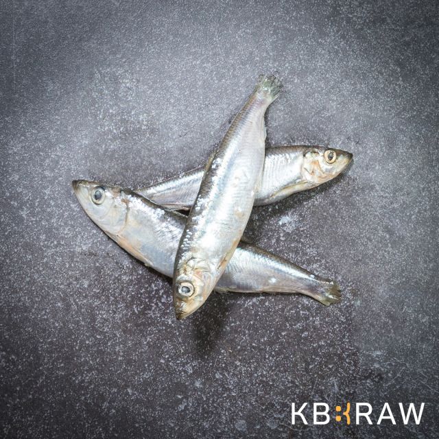  .KB BARF Haring IQF - circa 1 kg