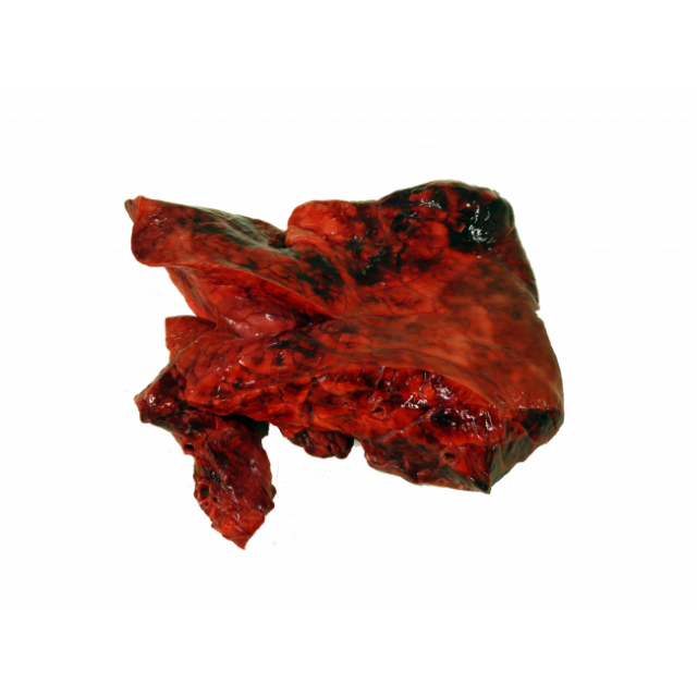 Graafbarf Runderlong Lappen -1 kg